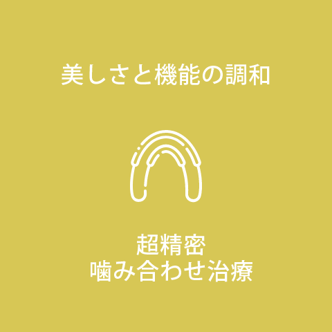 超精密噛み合わせ