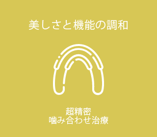 超精密噛み合わせ